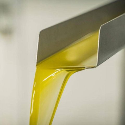 Rifiuti, Renoils: La Raccolta Degli Oli Esausti Cresciuta Del 2,4% Nel 2024