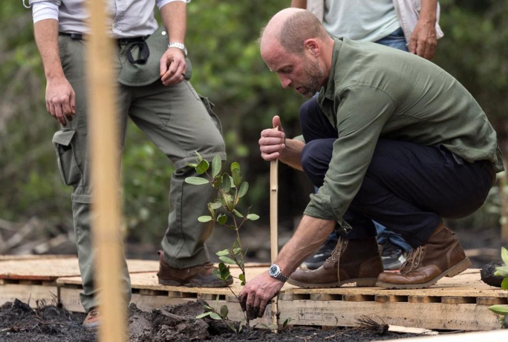 Il principe William in Amazzonia (Afp)