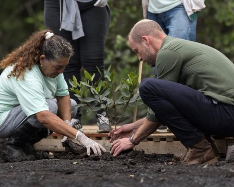 Il principe William pianta un albero in Amazzonia (Afp)