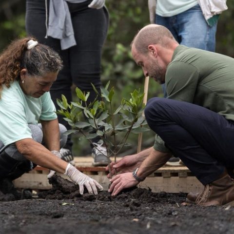 Il principe William pianta un albero in Amazzonia (Afp)