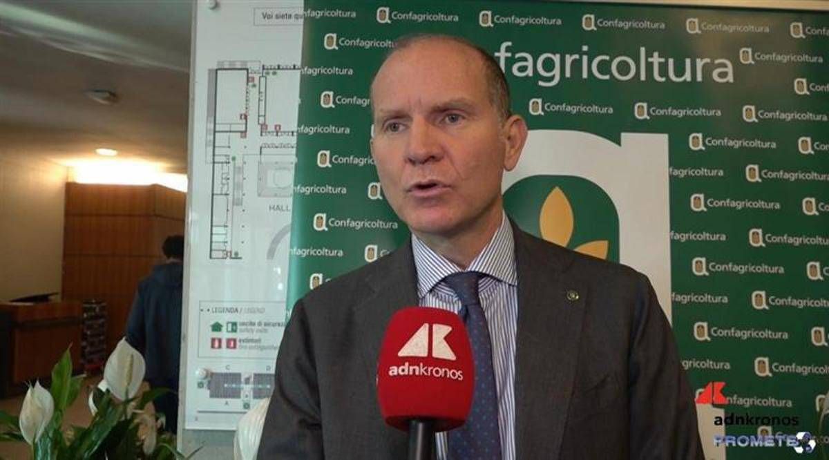 Agricoltura, Giansanti (confagricoltura): "servono Risorse Per Continuare A Innovare"