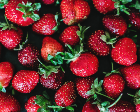 Fragole