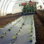 Agricoltura: Telo Mater Bi Ammendante Inorganico Secondo Regolamento Ue