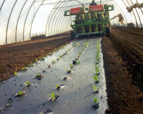 Agricoltura: Telo Mater Bi Ammendante Inorganico Secondo Regolamento Ue