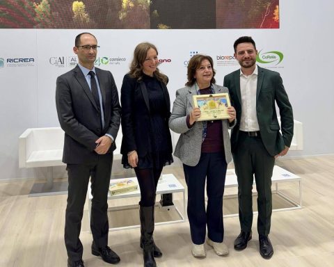 Un Sacco In Comune, Crotone Vince Sfida Del Riciclo Tra Capoluoghi Calabresi