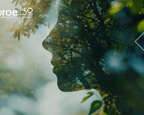 Ecoroe, Da 50 Anni Trasforma Sfide Ambientali In Soluzioni Sostenibili