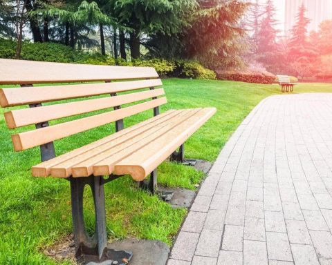 Ancora pochi alberi in città, i numeri di Legambiente