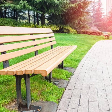 Ancora pochi alberi in città, i numeri di Legambiente