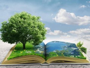 Al via 'Impronta Futura', percorso di sostenibilità e cittadinanza attiva