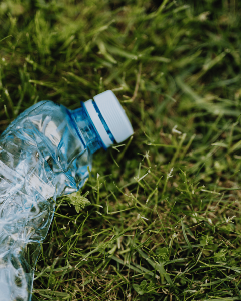 Bottiglia plastica prato canva