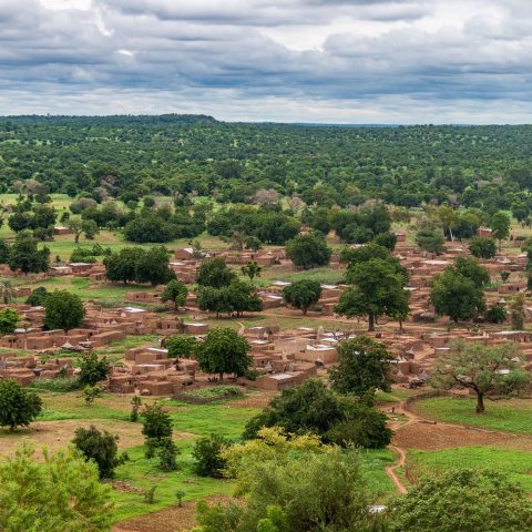 Burkina faso alberi villaggio canva