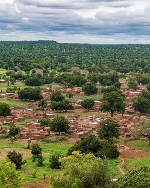 Burkina faso alberi villaggio canva