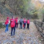 Sostenibilità: il Progetto Scuole Eon porta l'ambiente tra banchi e territorio