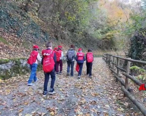Sostenibilità: il Progetto Scuole Eon porta l'ambiente tra banchi e territorio
