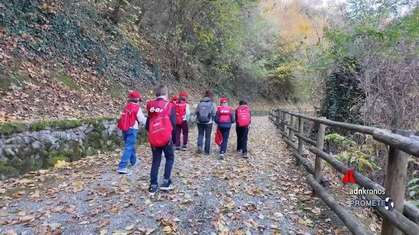 Sostenibilità: il Progetto Scuole Eon porta l'ambiente tra banchi e territorio