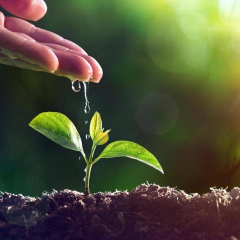 Raggi cosmici per misurare l’acqua, startup italiana guarda a sviluppo internazionale