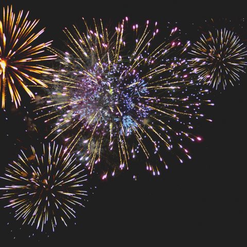 Fuochi artificio olanda canva