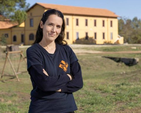 Agricoltura, Mazzù (Co.r.ag.gio): "Rigeneriamo terra pubblica e comunità"