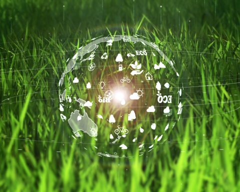 Strategia europea bioeconomia