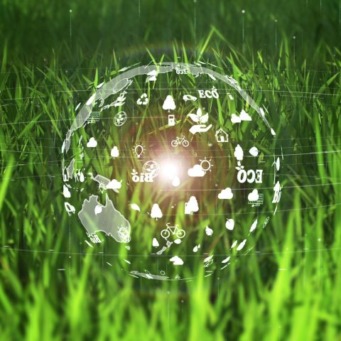 Strategia europea bioeconomia