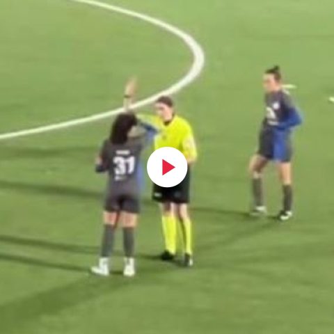 Insulti arbitro donna fi