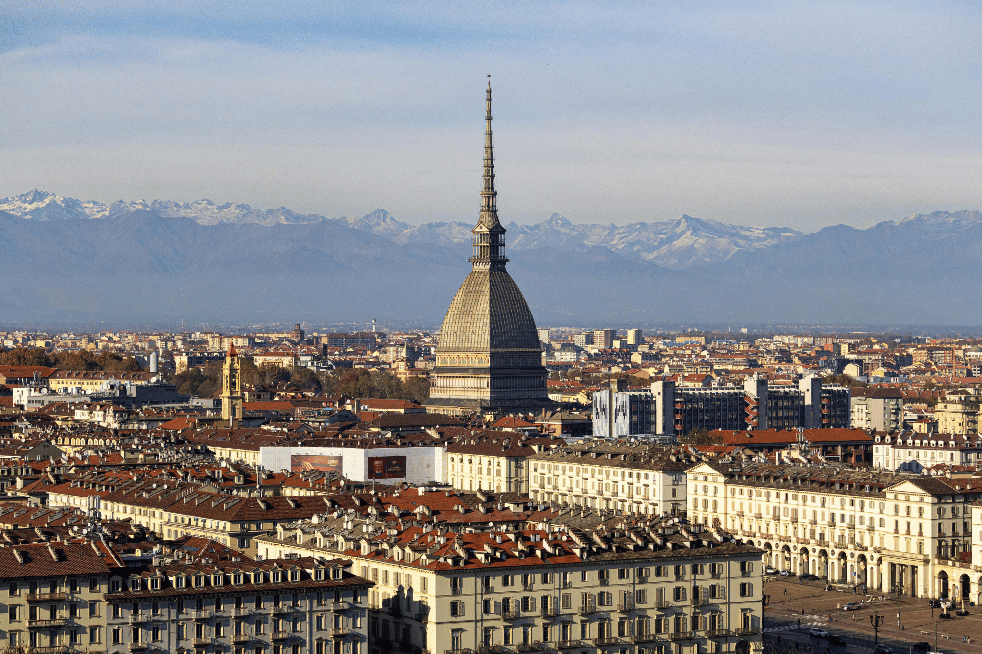 Torino canva