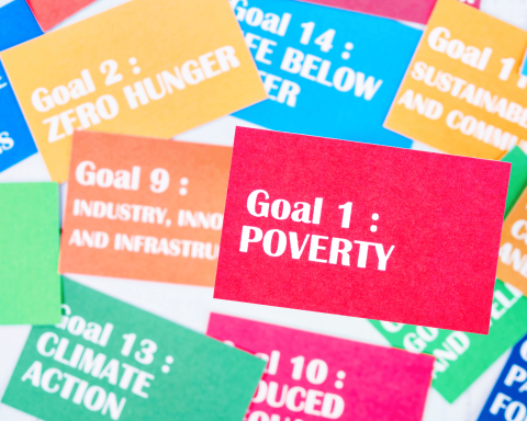 Goal obiettivi sviluppo sostenibile canva