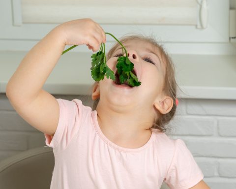 Bimba mangia verdure canva