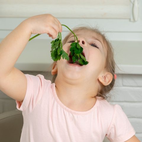Bimba mangia verdure canva