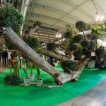 Myplant&Garden, X edizione dal 18 al 20 febbraio 2026 a Fiera Milano Rho