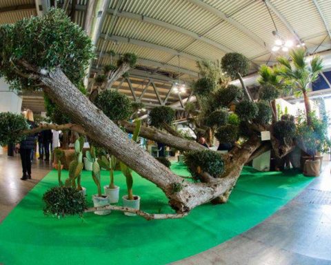Myplant&Garden, X edizione dal 18 al 20 febbraio 2026 a Fiera Milano Rho