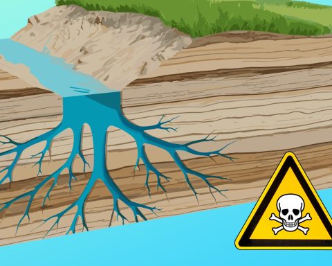 Falde acquifere inquinate veleno canva