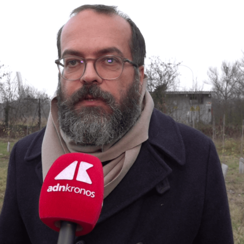 KilometroVerdeParma, più alberi diffusi in città per combattere caldo e cemento