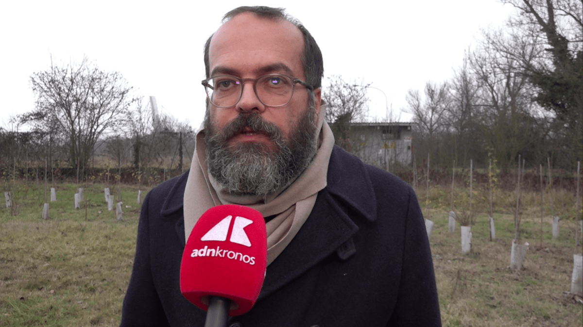 KilometroVerdeParma, più alberi diffusi in città per combattere caldo e cemento