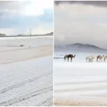 Neve in Arabia Saudita