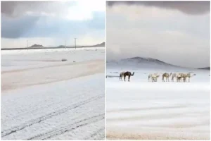 Neve in Arabia Saudita