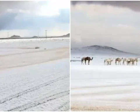 Neve in Arabia Saudita
