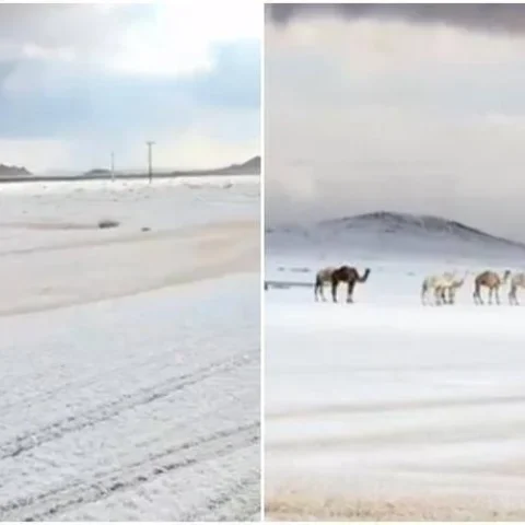 Neve in Arabia Saudita