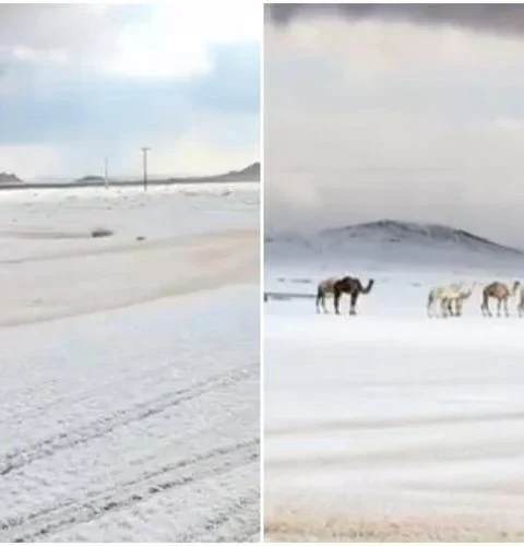 Neve in Arabia Saudita