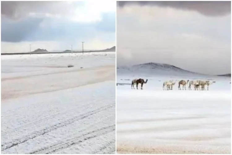 Neve in Arabia Saudita