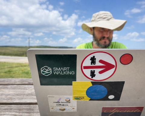 Davide fiz smart walking