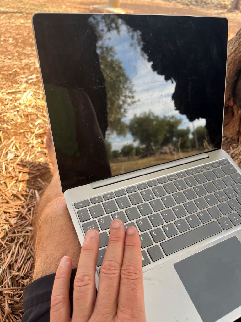 Davide fiz smart walking (1)