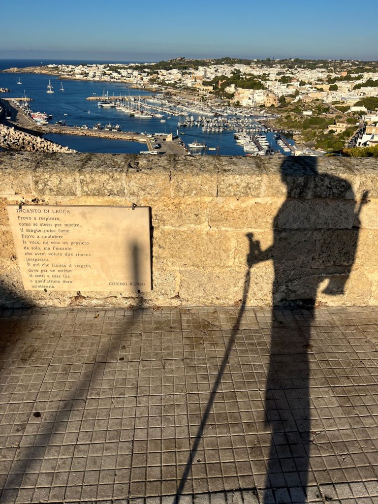 Davide fiz smart walking (9)