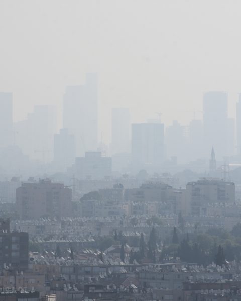 Smog città canva