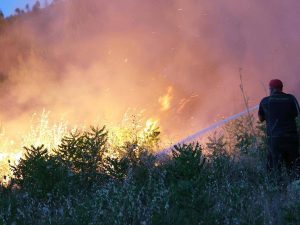 Disastri naturali, nel 2025 danni per 224 mld di dollari