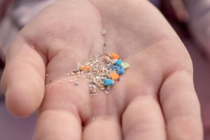 Microplastiche corpo canva
