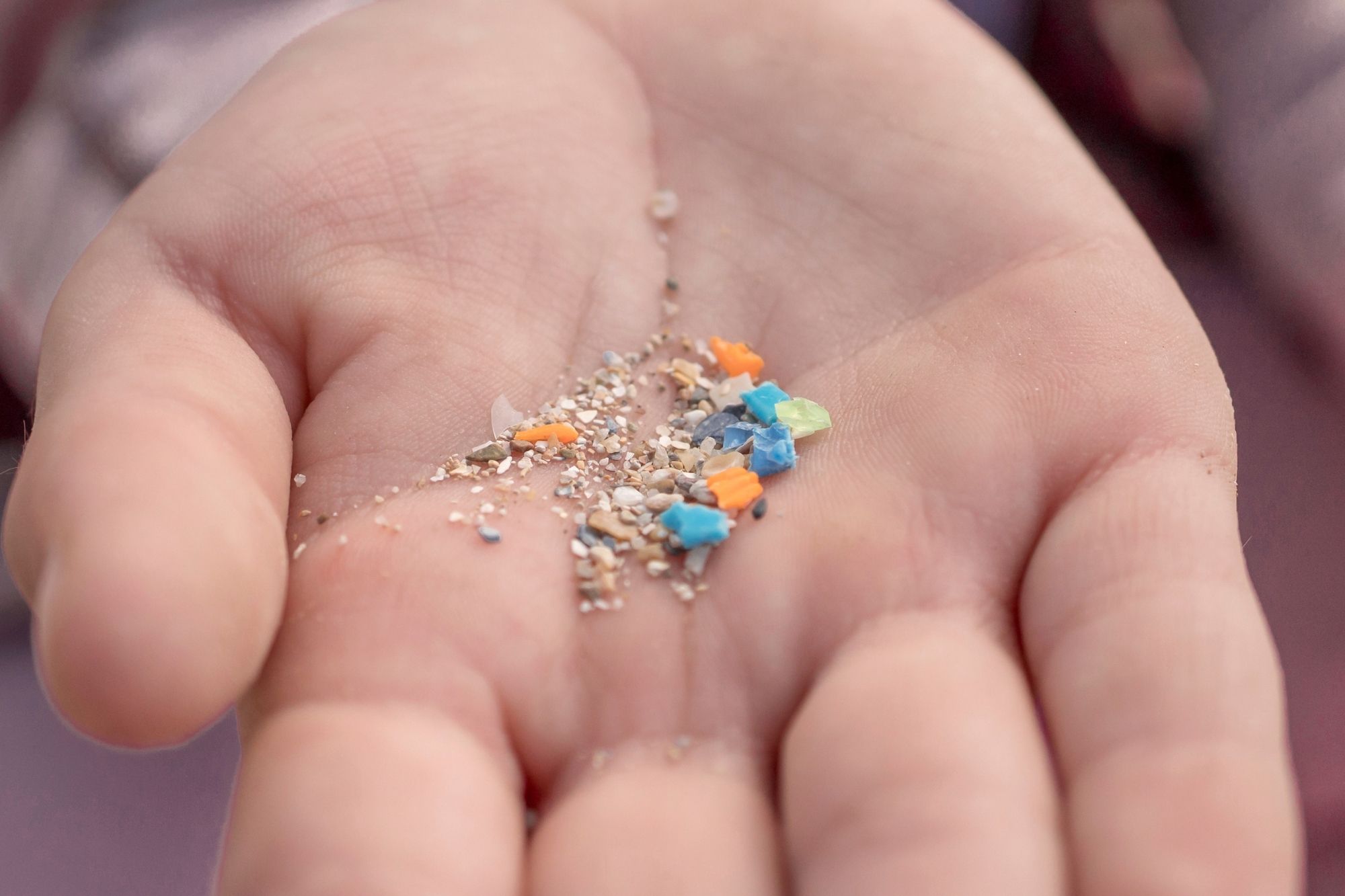 Microplastiche corpo canva