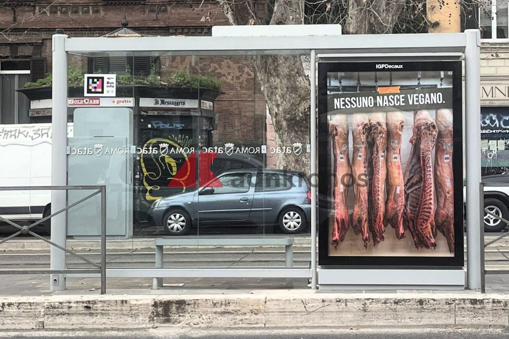 Manifesti carne roma vegan adnk