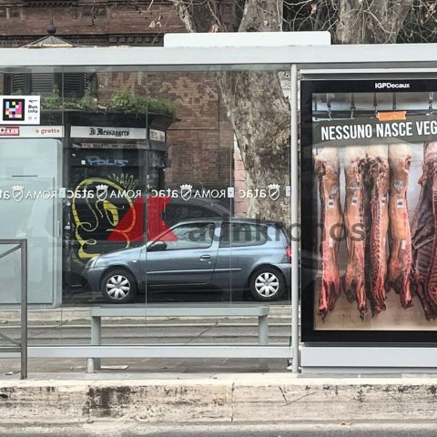 Manifesti carne roma vegan adnk