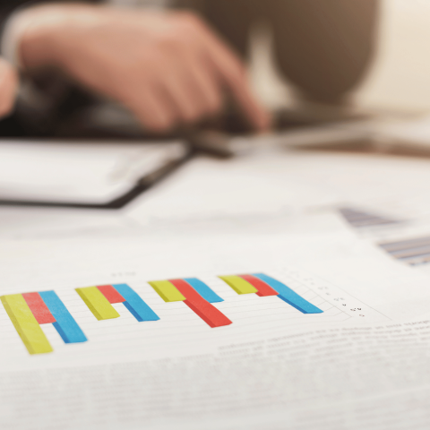 Grafico azienda canva